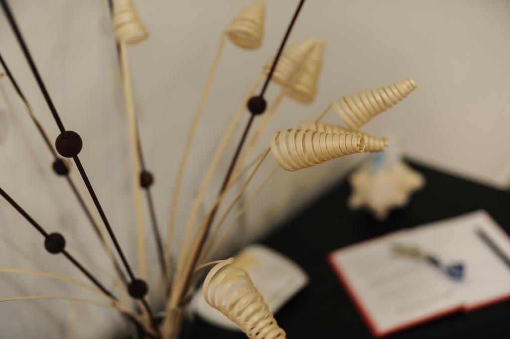 Casa Felicidad Apartment 신데 델 카르멘 객실 사진